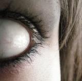 "Zombex" de Jesse Dayton est un film d'horreur musical avec Sid Haig, Malcolm McDowekk et Corey Feldman (voir ci-dessous)