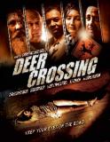 Deer Crossing