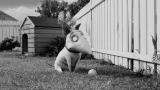 Frankenweenie (2012)