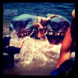 2-Headed Shark Attack
