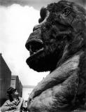 Merian C.. Cooper et King Kong