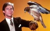 Sony Pictures Animation a acquis les droits de la série télévisée des années 8O "Manimal" en vue d'en faire un film mêlant images de synthèse et prises de vues réelles.... (voir ci-dessous)