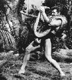 LE COMBAT MORTEL DE TARZAN (1958)