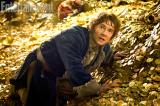 Le Hobbit La désolation de Smaug