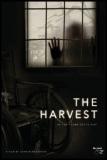 John McNaughton ("Henry, portrait d'un serial-killer") fait un heureux come-back dans l'horreur avec "The Harvest"... (voir ci-dessous)