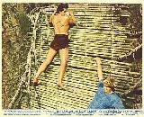 TARZAN ET LE SAFARI PERDU