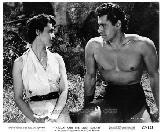 TARZAN ET LE SAFARI PERDU