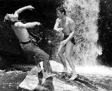 TARZAN LE MAGNIFIQUE