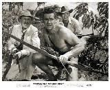 TARZAN LE MAGNIFIQUE