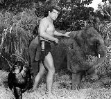 Tarzan's Hidden Jungle