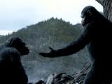 Dawn of the Planet of the Apes