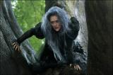 Mery Streep en sorcière dans "Into he Woods" !  (voir ci-dessous)