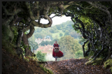 Into the Woods