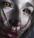 En tournage depuis septembre, "When Animals Dream" est décrit comme la rencontre de "Carrie" et de "Laisse-moi entrer" (voir ci-dessous).