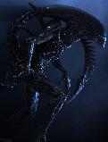 ALIEN VS PREDATOR