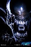 ALIEN VS PREDATOR