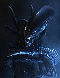 ALIEN VS PREDATOR
