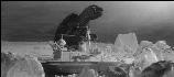 Gamera The Invincible (1965)