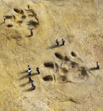 UN KAIJU-EIGA INDEPENDANT (voir ci-dessous)