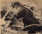 King Kong vs Godzilla
