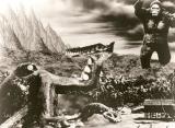 King Kong vs Godzilla