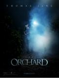 The Orchard