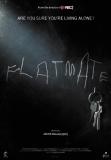 Flatmate (2010)