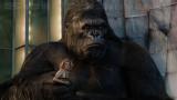 KING KONG (2005)