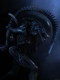 ALIEN vs PREDATOR 2